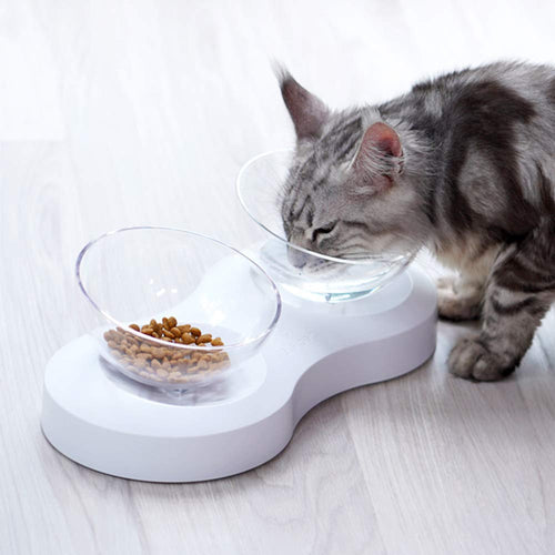 Healthy Bowl - Anti-Vomiting Tilted Elevated Pet Bowl Set