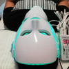 Zelarama LED Facial Light Spa Therapy