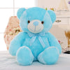 Glow Teddy Bear